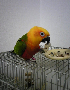 「ボクはココが一番でしゅ♪」