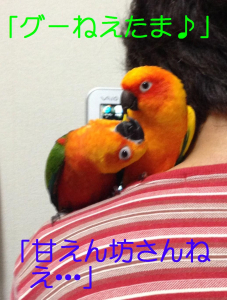 ママは、グーちゃんが羨ましい・・・