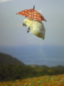 この写真は受けました！！（笑）