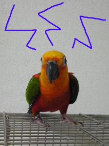 「ママはしつこいでし！」