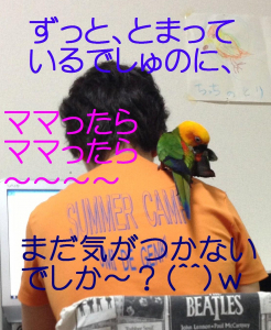 気がつかなかったよ〜ん(T_T)　　主人撮影