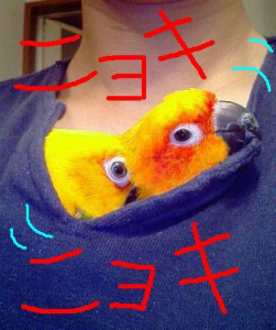 ・・！(ﾟдﾟ)
