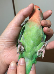 「いや〜ん、恥ずかしいや〜ん！」