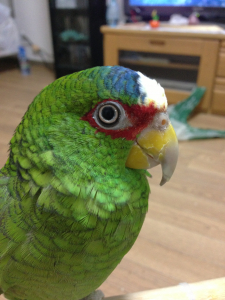 「でも、ま・・いっかな・・って思うんだ」