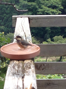 「あ〜、気持ちよかった♪」