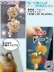 新入りの破壊力もすさまじい！