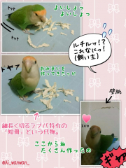 飼い主がインフルエンザの時にお見舞いを…