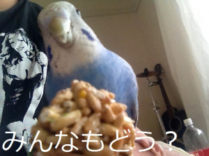 おやつを食べてる途中を撮りました（笑）