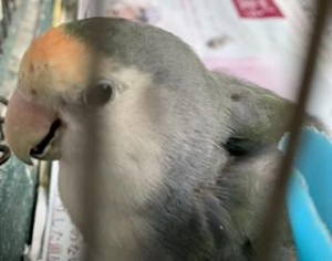 日向ぼっこ