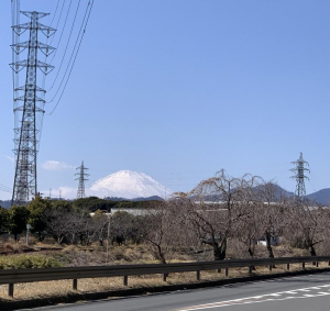 富士山