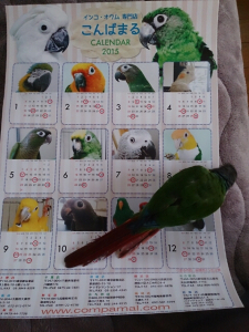 もらったカレンダー