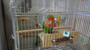 私を監視中(笑)