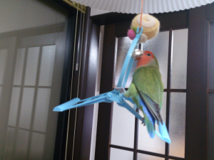 新しもの好き　興味津津♪