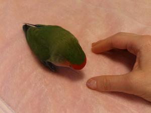 じりじり・・・・・