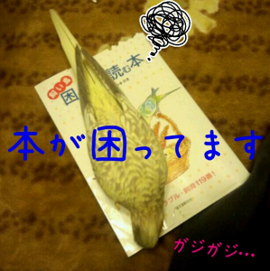 困った時に読む本ですが…