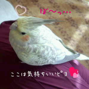 足がつりそうなんですが(泣)