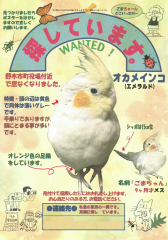 ◆◆このポスターを貼っております！◆◆