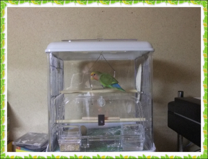 気持ち良いからここで寝ちゃおうっとZzzz