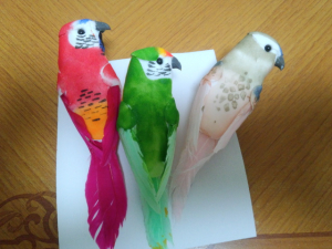3羽入りです