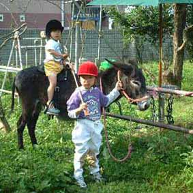 三男四男とロバ君