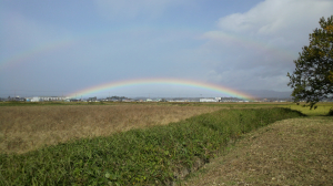 虹の橋です☆