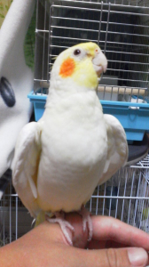 みっさんです。