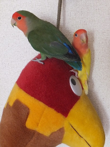 みんな恥ずかしがり屋です。