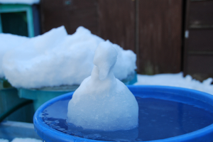 水浴びする雪だるまコールダック