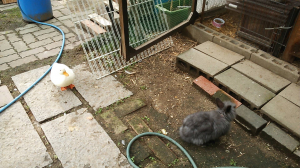 あいつムカつくな〜！