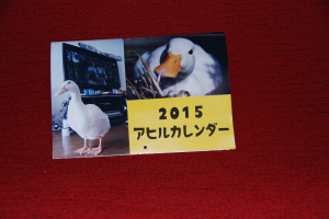 アヒルカレンダー２０１５