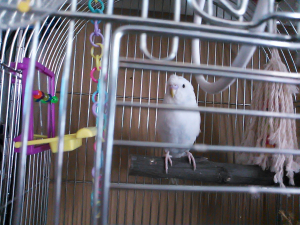 鼻の色変わらないな~