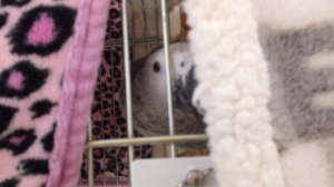 隙間からこっちを見ています笑
