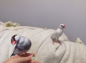 現在