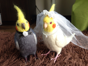 オカメインコウェディングドールです☆