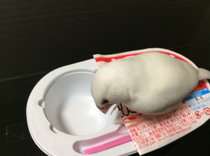 ココに入るの？