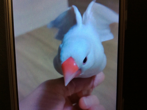 へ〜〜〜〜〜ん