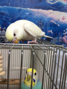 仲良くしたいな〜