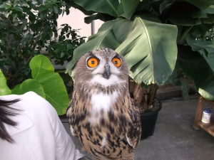重かった。。。