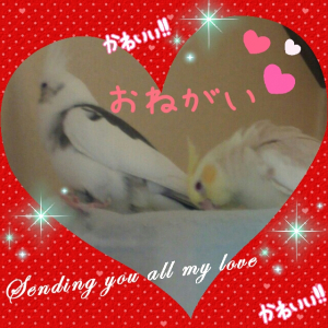 甘えて カキカキのおねだり&#9829;