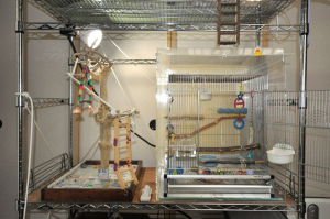 右のゲージは二頭用住宅。465サイズ♪