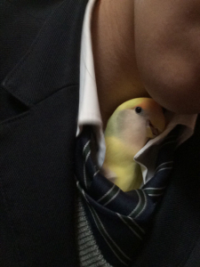 服の中に入ってきたりします&#9829;&#65038;