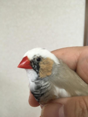 1ヶ月前