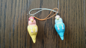 にぎごろ小桜インコゲットしました