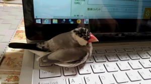 眠いよ・・・
