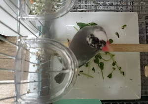 まだビビってるからカメラ目線