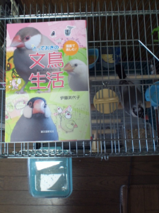 頭がつかえているチッチも見てね(^^♪