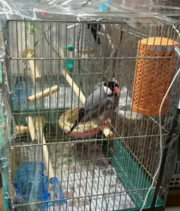 温まるサチ君