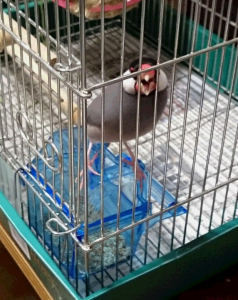 出せよぉ