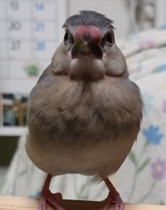 さっちゃんです。ヨロチクネ(^^♪