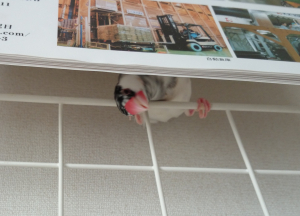 正解はここでーす
